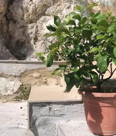Sulla Roccia * אמליה